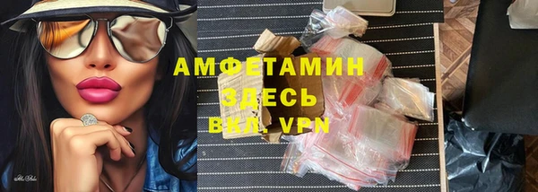 мдпв Михайлов