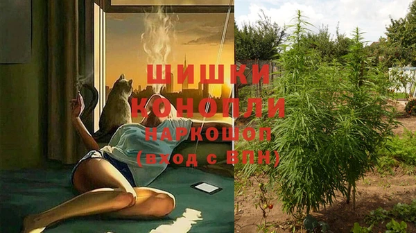 стафф Белоозёрский