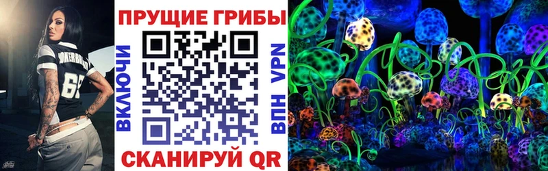 Галлюциногенные грибы Psilocybine cubensis Химки